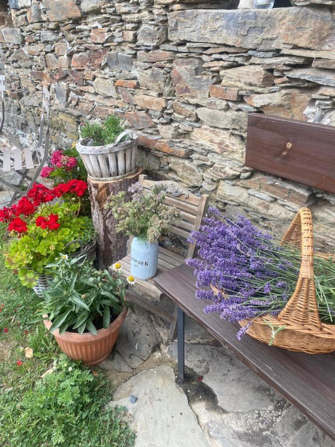 Hvezdny Glamping Campo de lujo