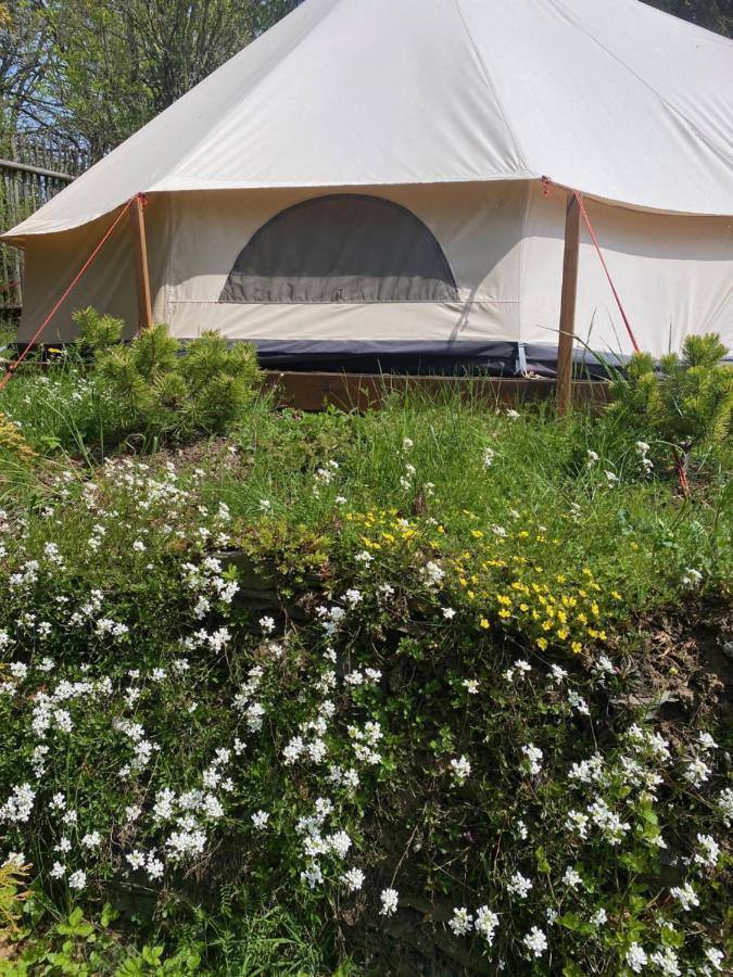 Hvezdny Glamping *